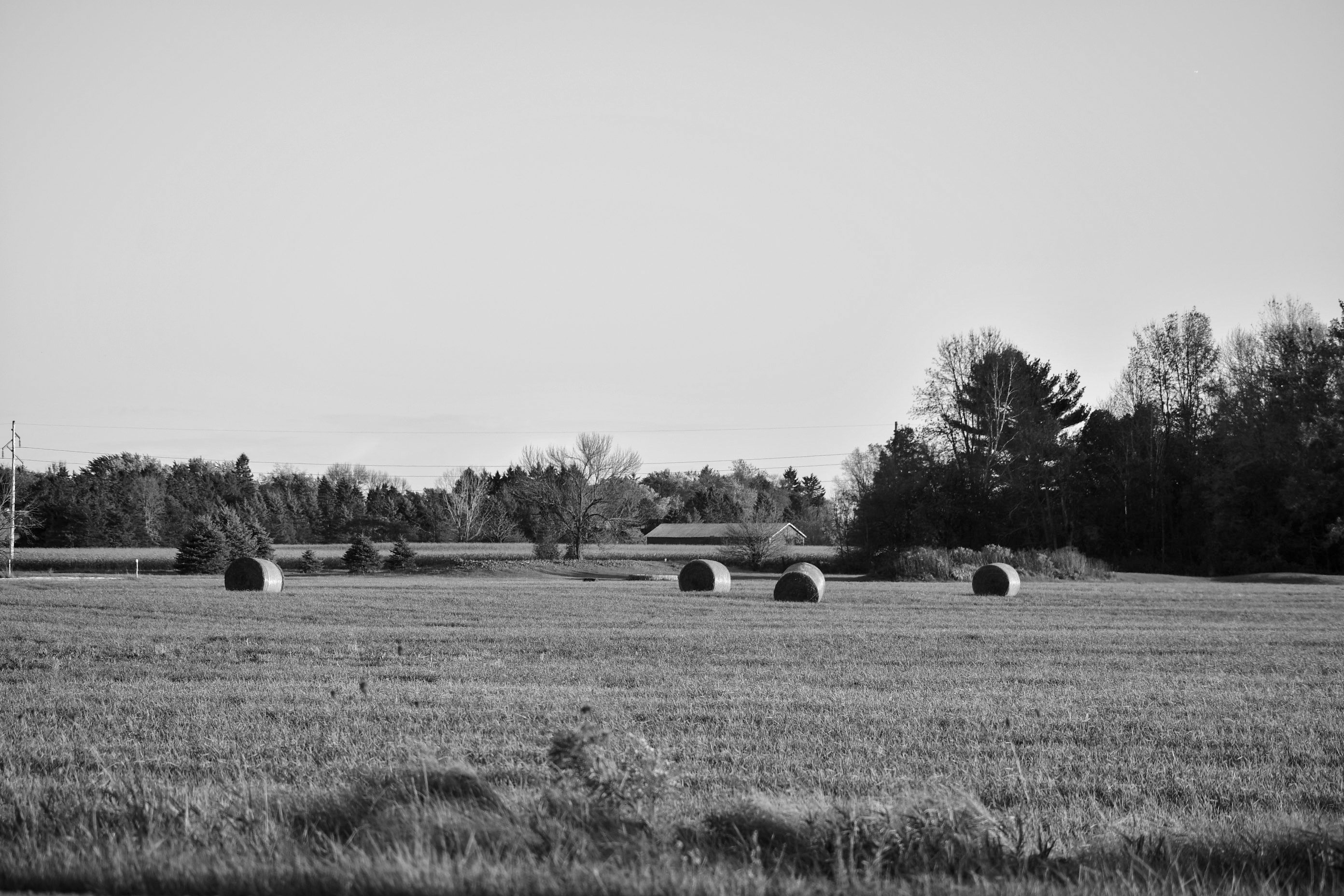 Haybales (open space)