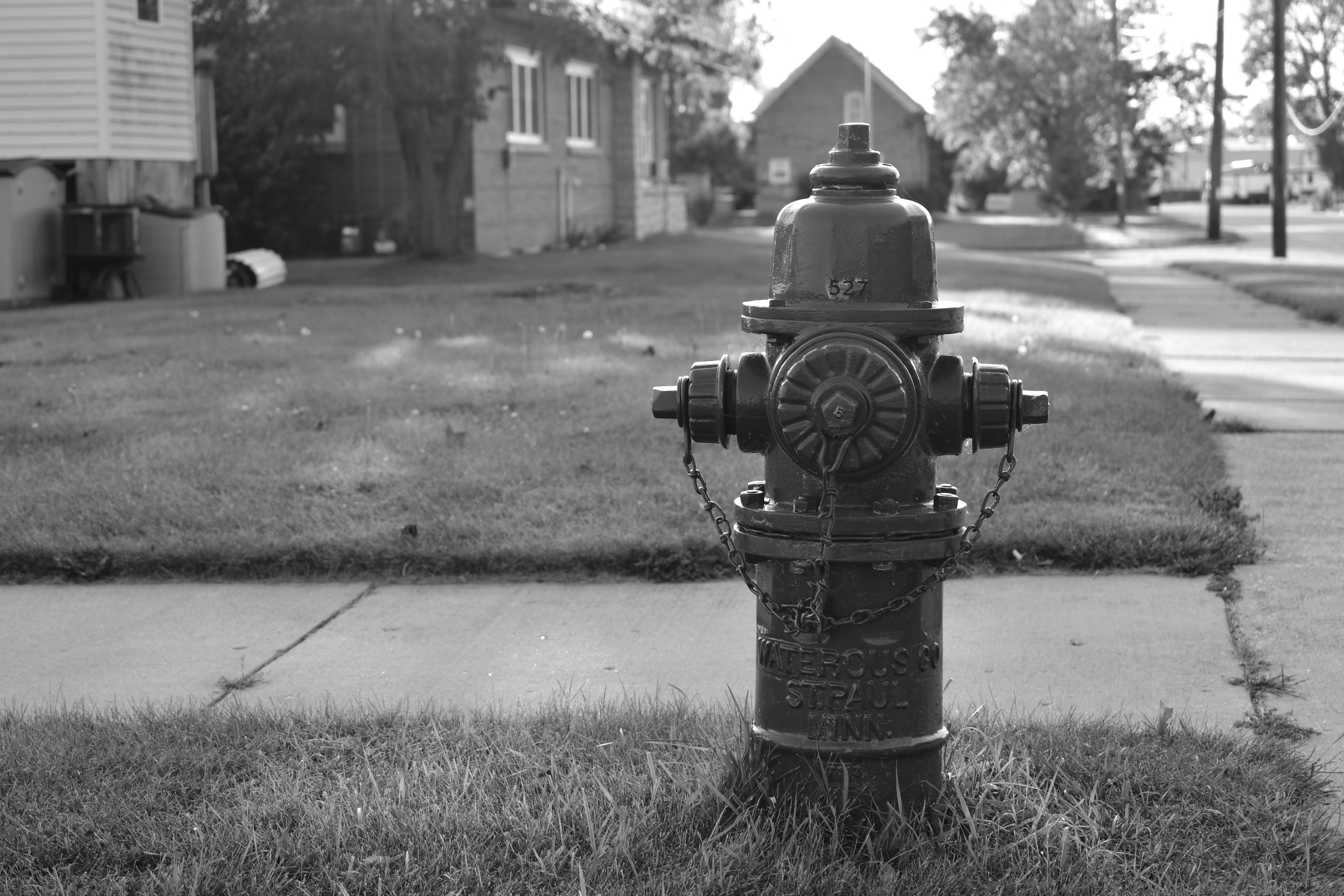 Fire Hydrant Portrait (Narrow Angle of View/Wide Aperture)