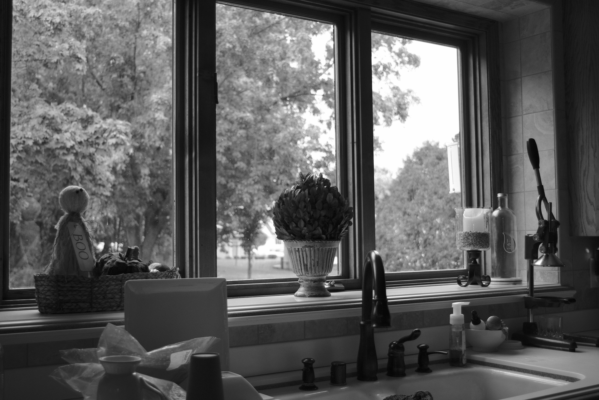 Kitchen Window