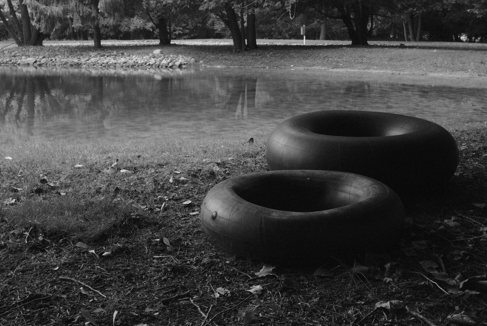 Pond - Innertubes