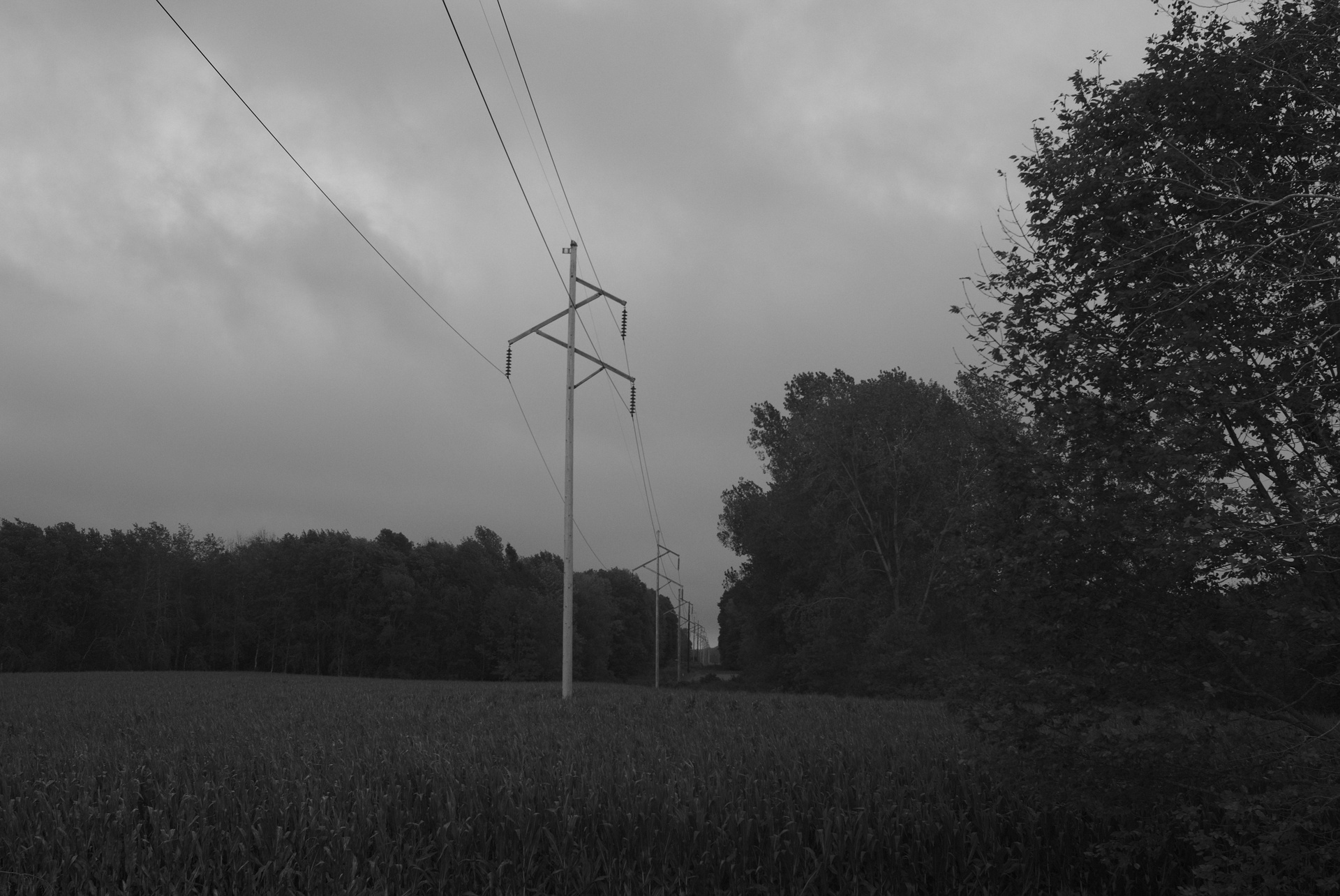 Powerlines